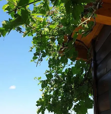 Ferienhaus Bergzauber * Frastanz